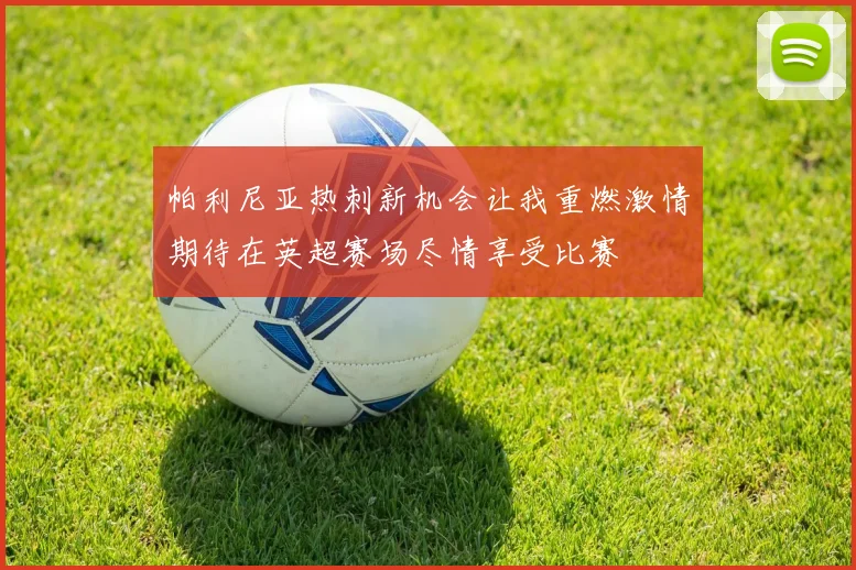 帕利尼亚热刺新机会让我重燃激情期待在英超赛场尽情享受比赛