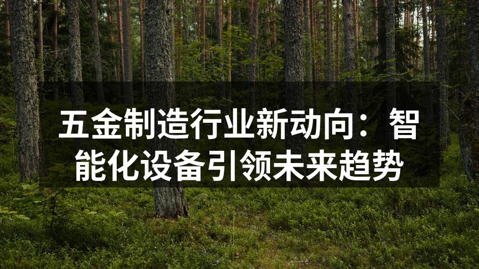 智能化设备助力五金制造